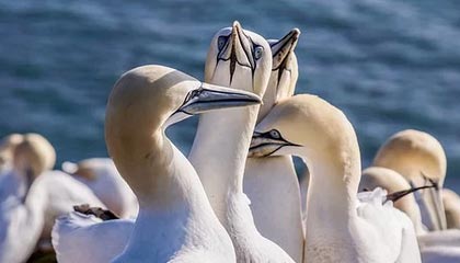 天津最新的医保卡的钱怎么用手机取出来方法分享(天津医保卡里的钱怎么用手机支付教程)