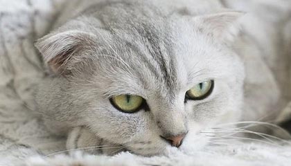 天津最新的高价医保个人账户余额微信查询方法分享(天津医保查询个人账户明细怎么查微信教程)