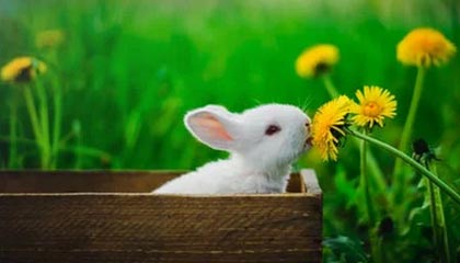 天津最新的高价找中介取公积金违法吗方法分享(天津中介取公积金怎么收费教程)